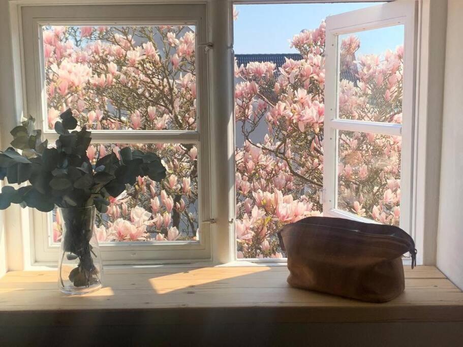 Ostseeloft フレンスブルク エクステリア 写真